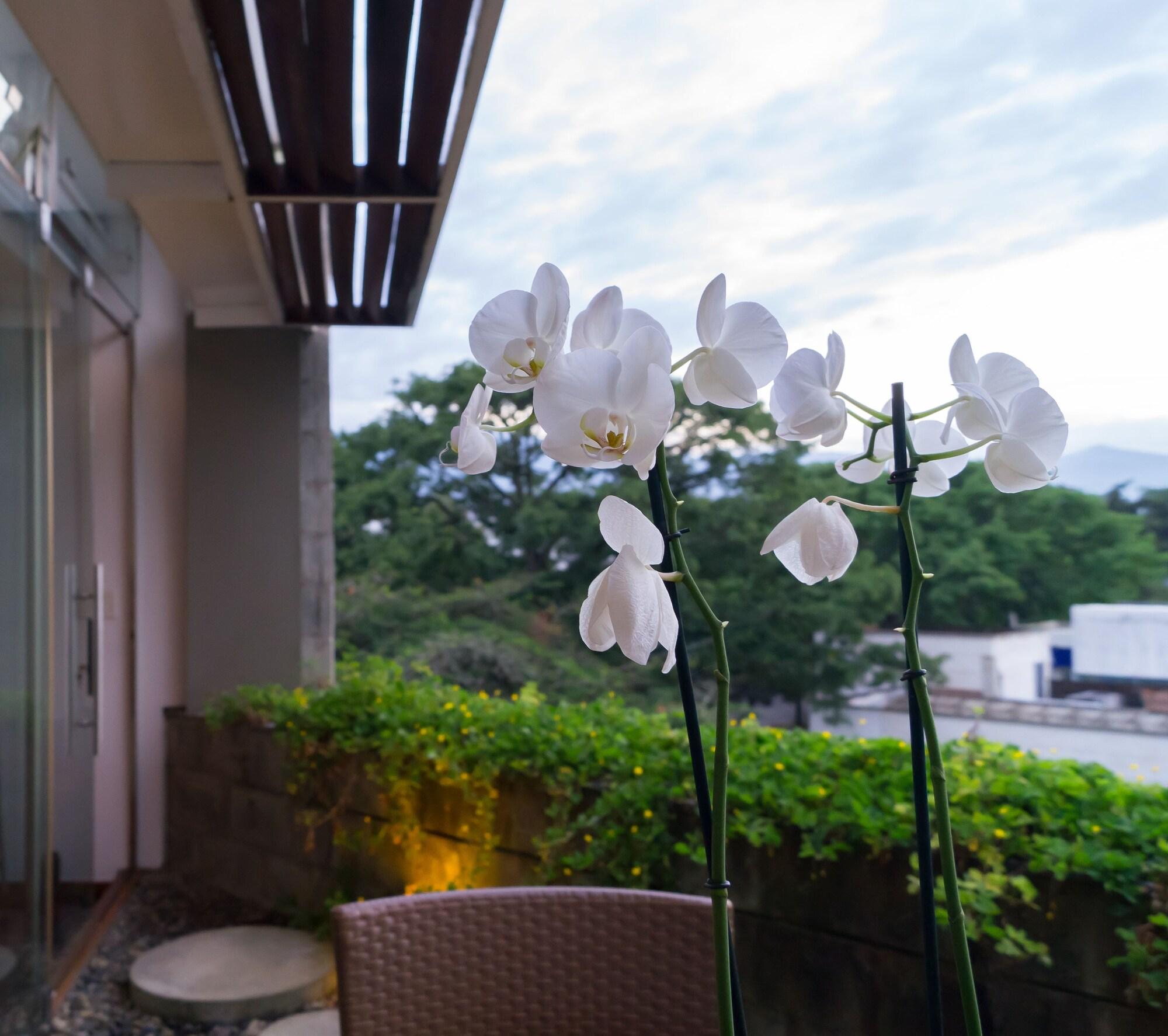 Acquasanta Lofts Hotel Cali Exterior foto